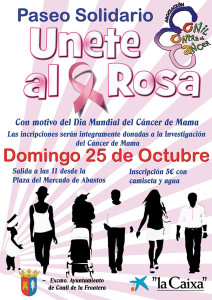 Paseo Solidario Únete al Rosa<